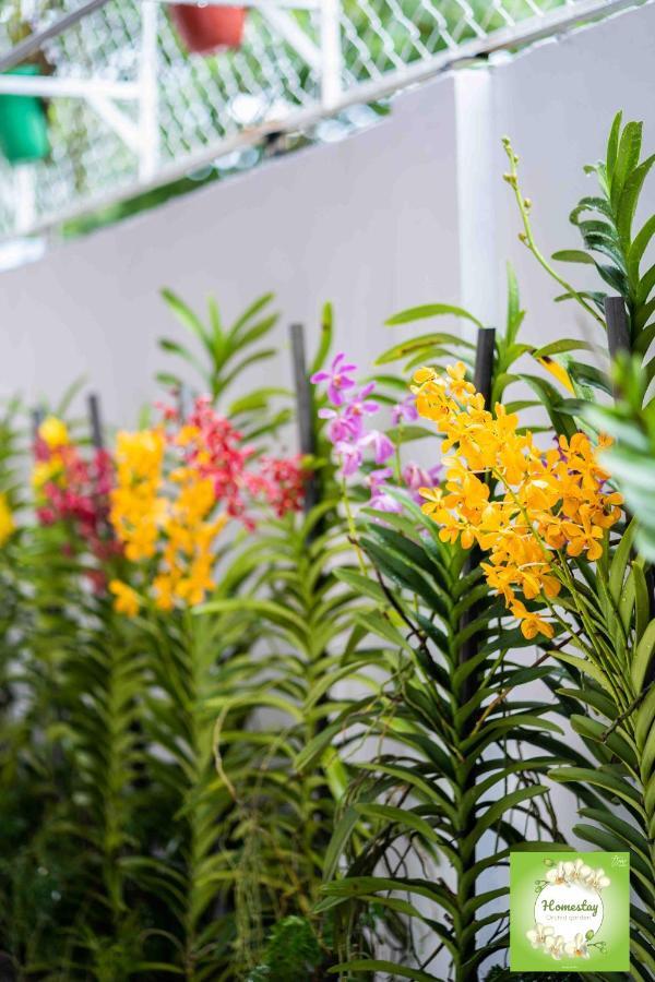 Can Tho Orchid Garden Homestay Buitenkant foto