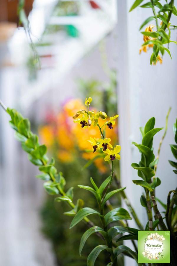 Can Tho Orchid Garden Homestay Buitenkant foto